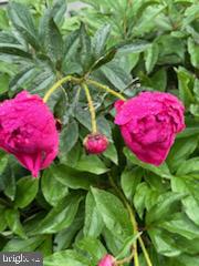 HICKORY RUN - Residential