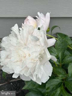 HICKORY RUN - Residential