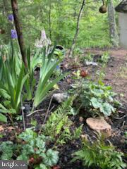 HICKORY RUN - Residential