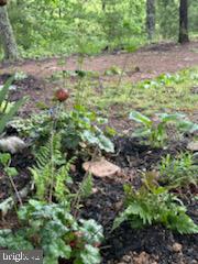 HICKORY RUN - Residential