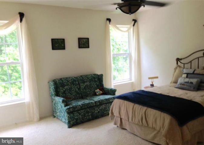 GLYNDON TRACE - Residential