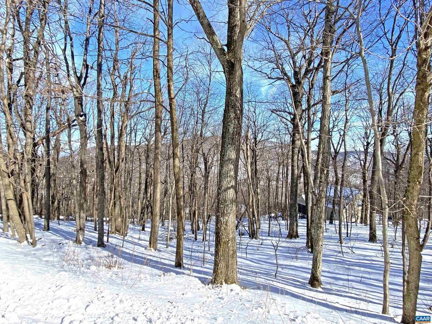 Enjoy beautiful 180 degree seasonal (6 months of the year) mountain and sunrise views from this easy to build on homesite. Gently sloping terrain from the street down, perfect for a home with a walk-out basement. The property to the right is already developed and features a double size lot so there is plenty of privacy from the neighbor on this side.  Several access points to hiking trails as well as the Chestnut Springs community pool park are a short drive away. Good value for everything this lot has to offer.
