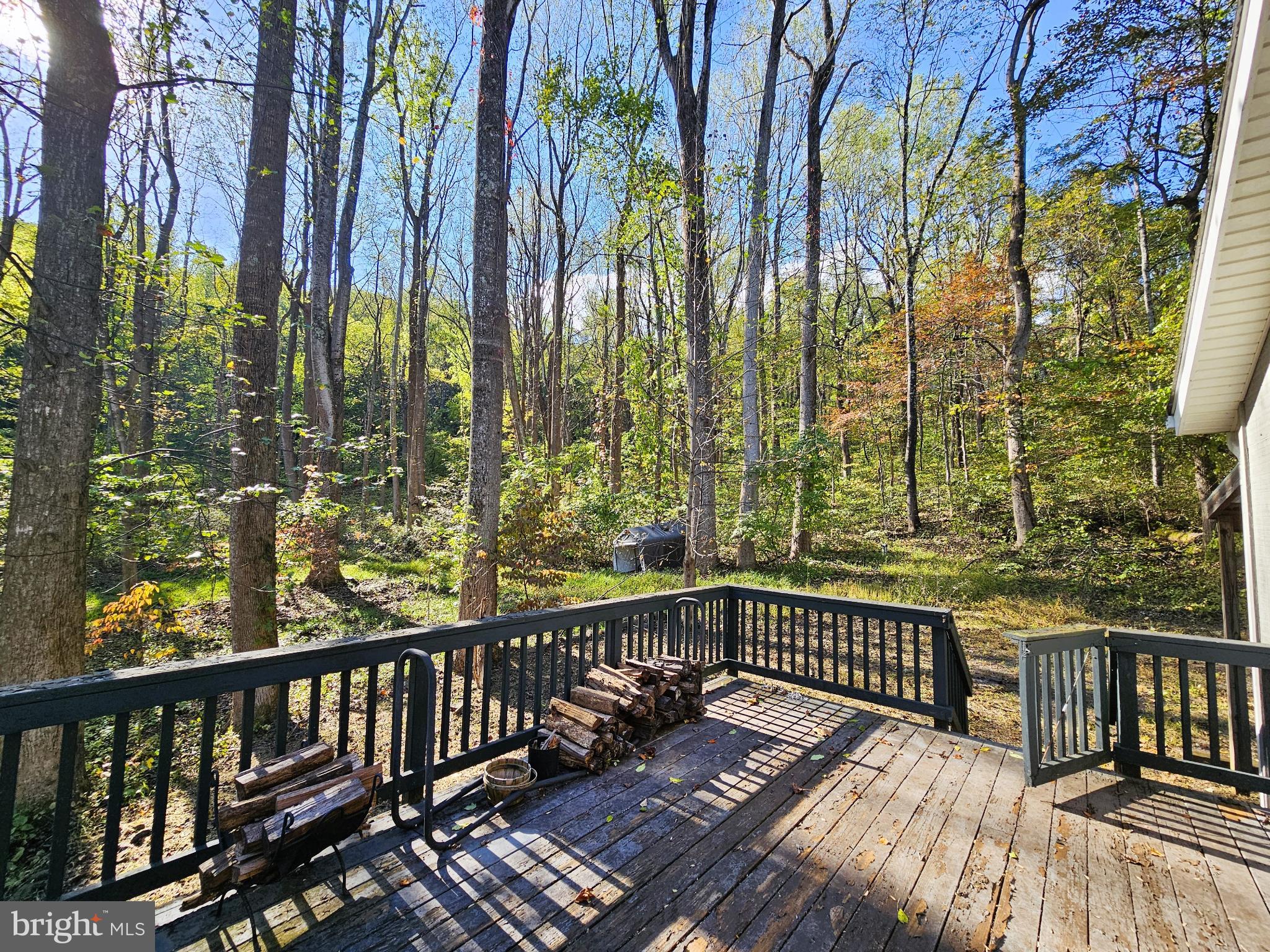 1043 RIDER HOLLOW LANE