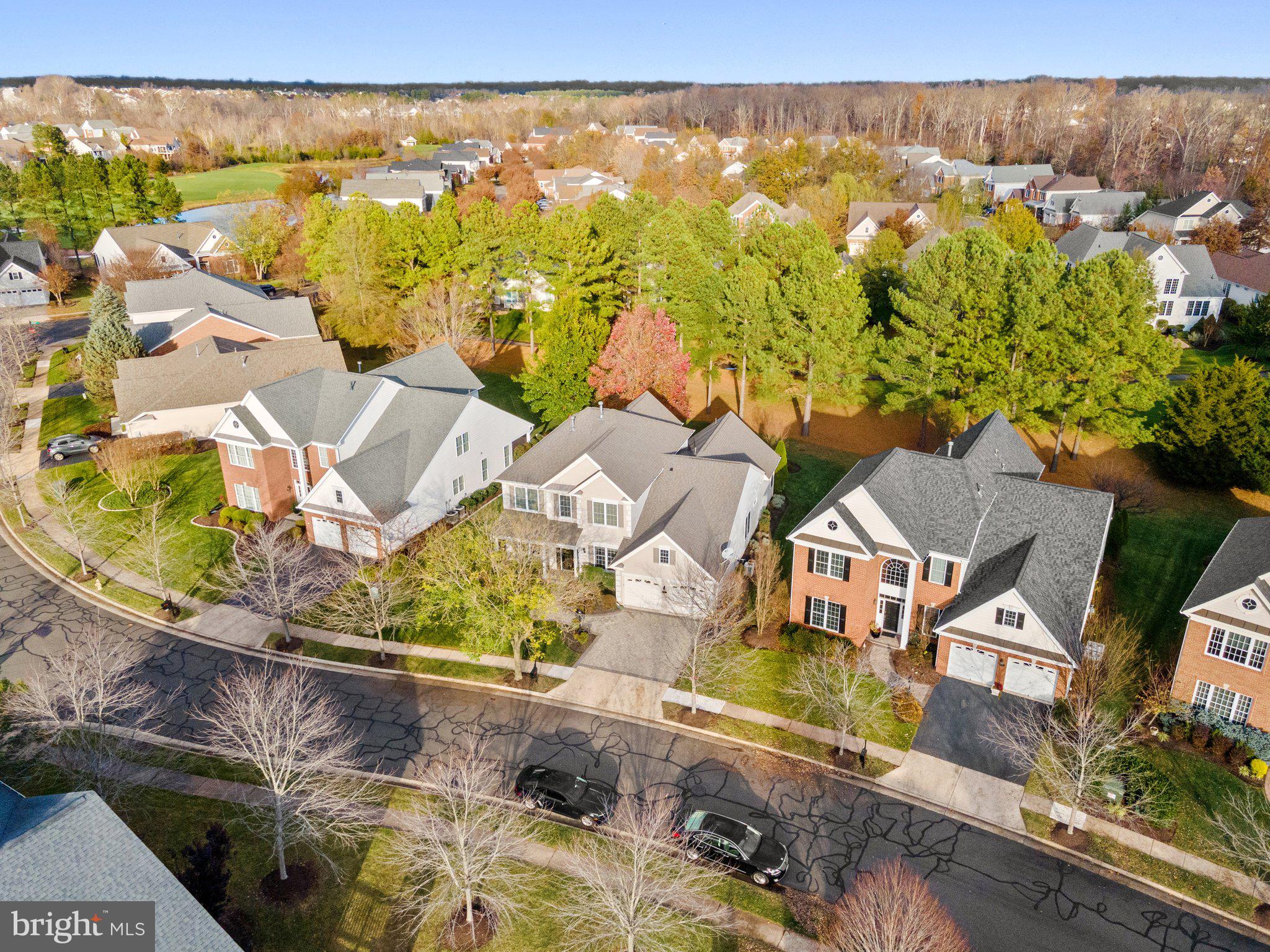 REGENCY AT DOMINION VALLEY - Residential