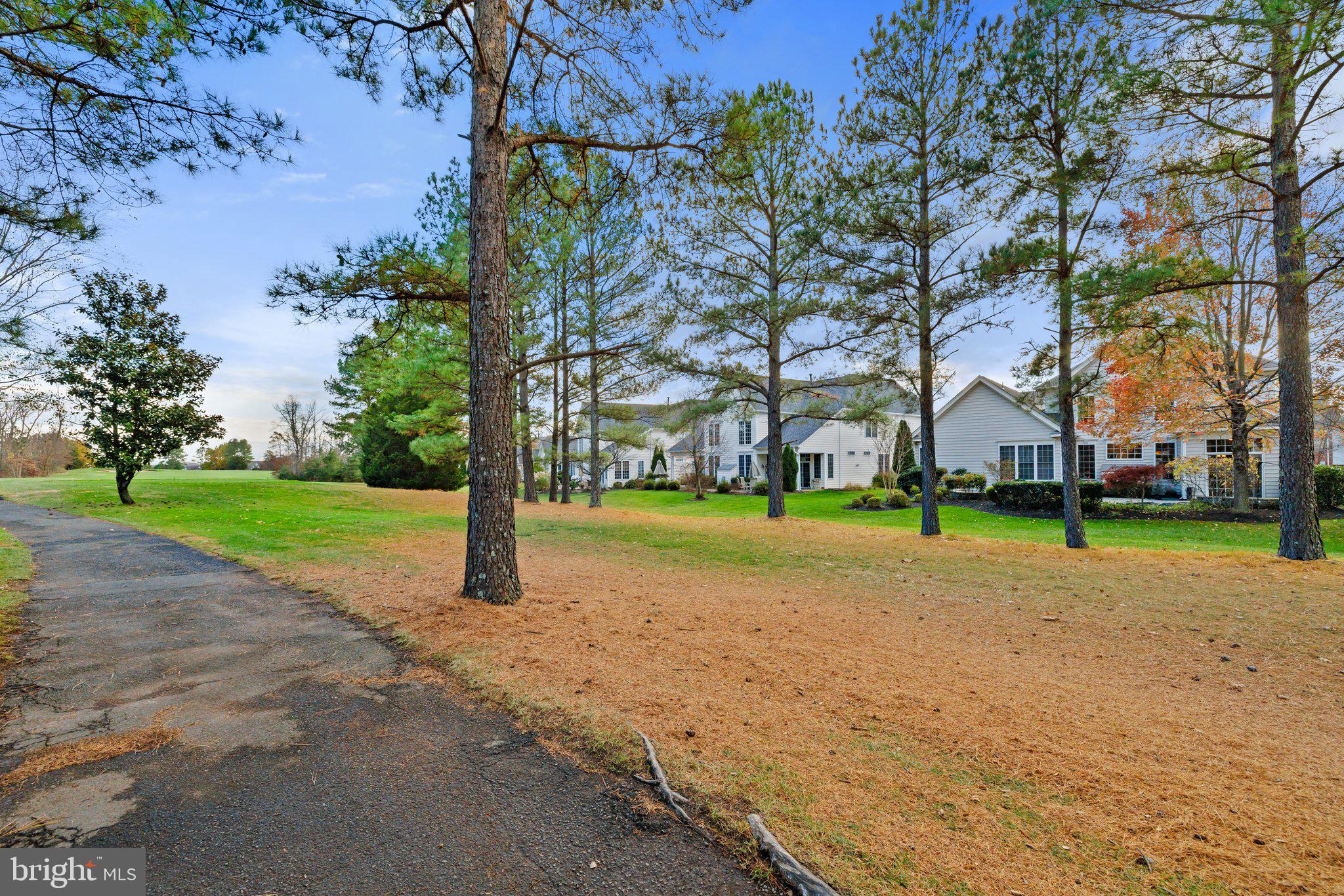 REGENCY AT DOMINION VALLEY - Residential