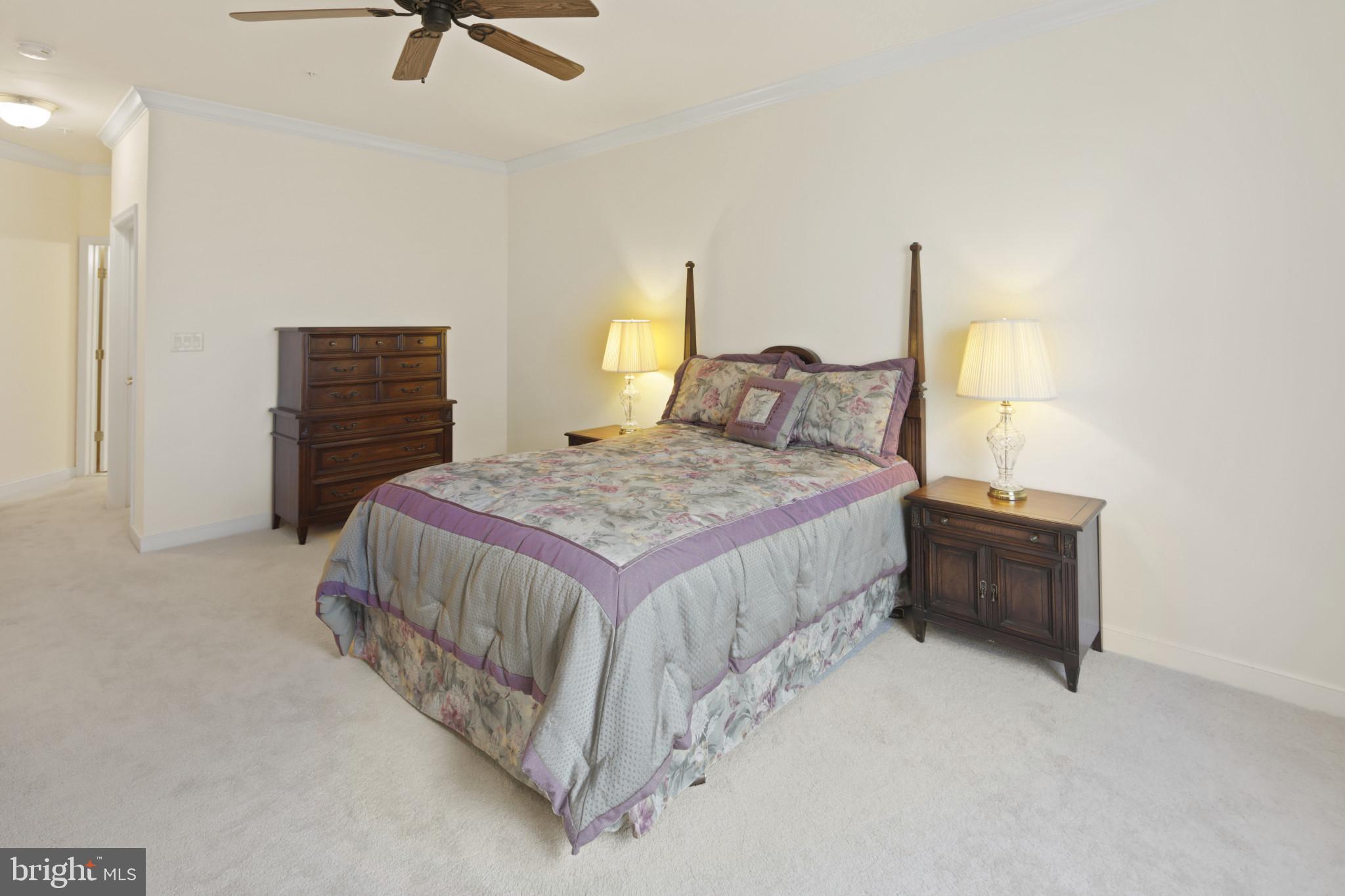 SNOWDEN OVERLOOK - Residential