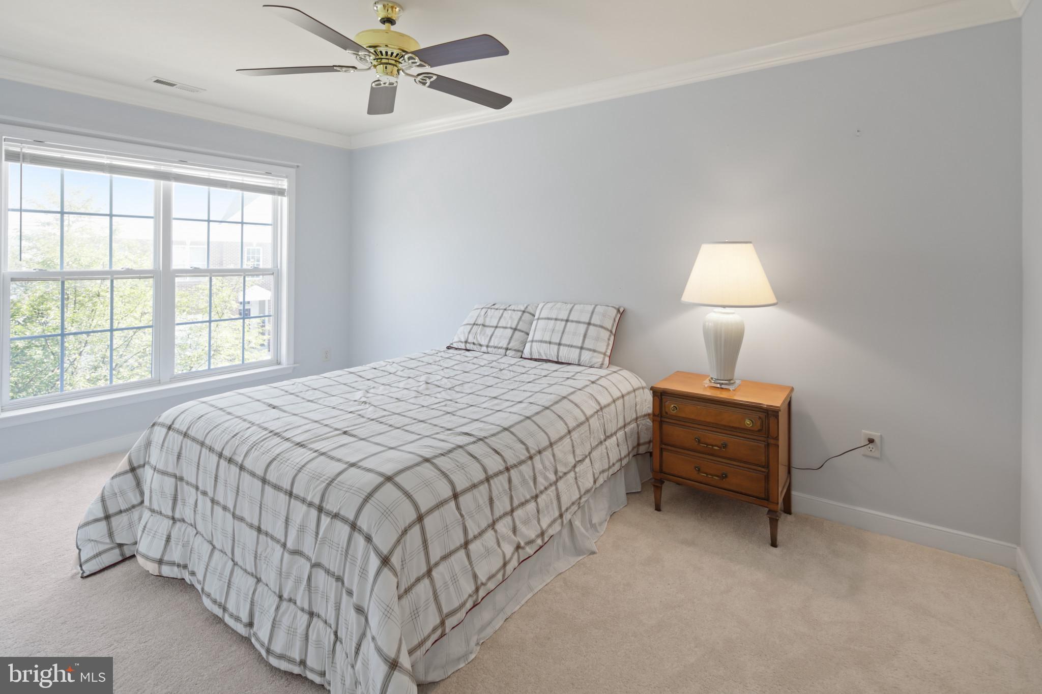 SNOWDEN OVERLOOK - Residential