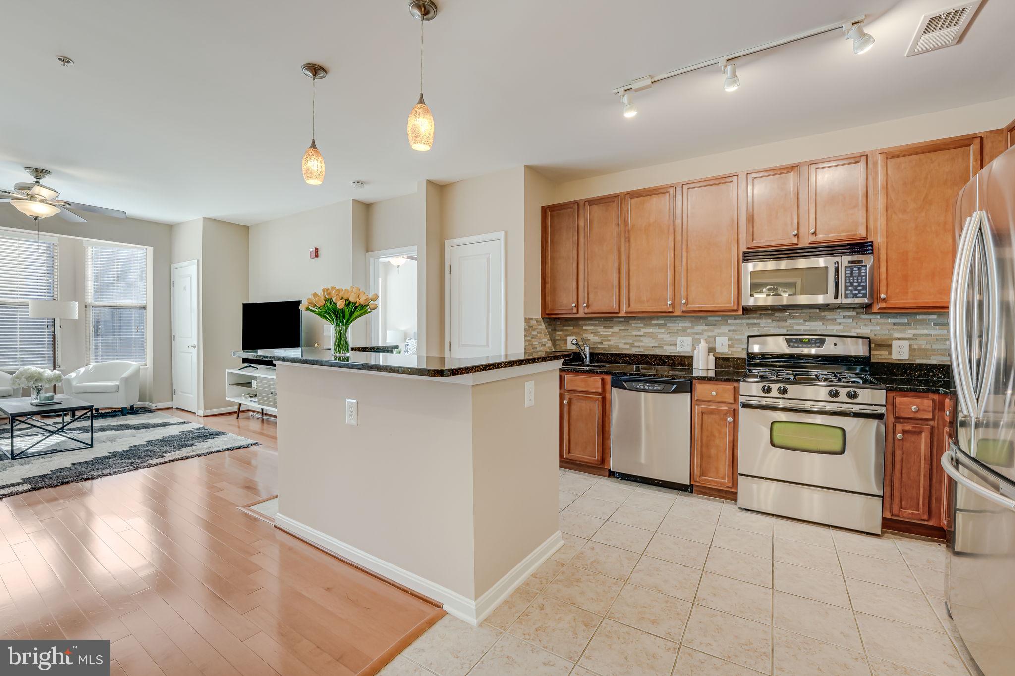 HALSTEAD AT THE METRO - Residential