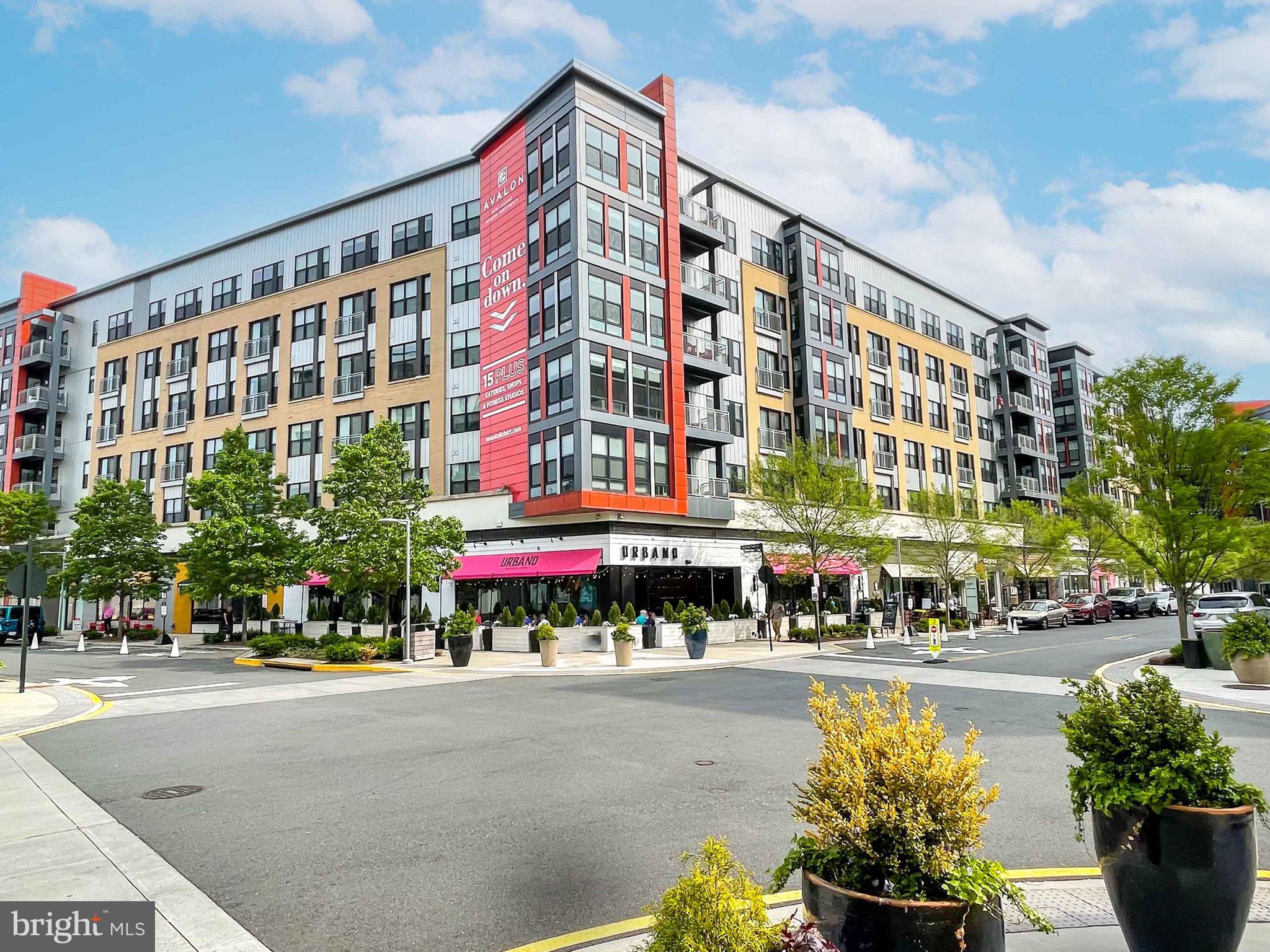 HALSTEAD AT THE METRO - Residential