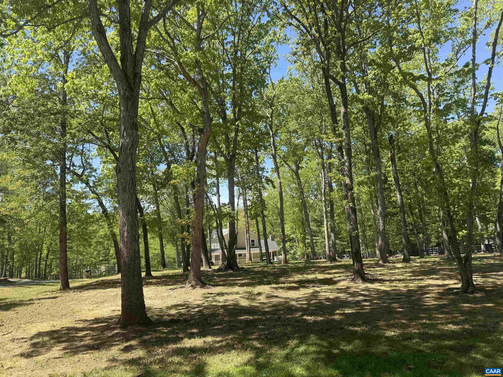 LAKE MONTICELLO - Land