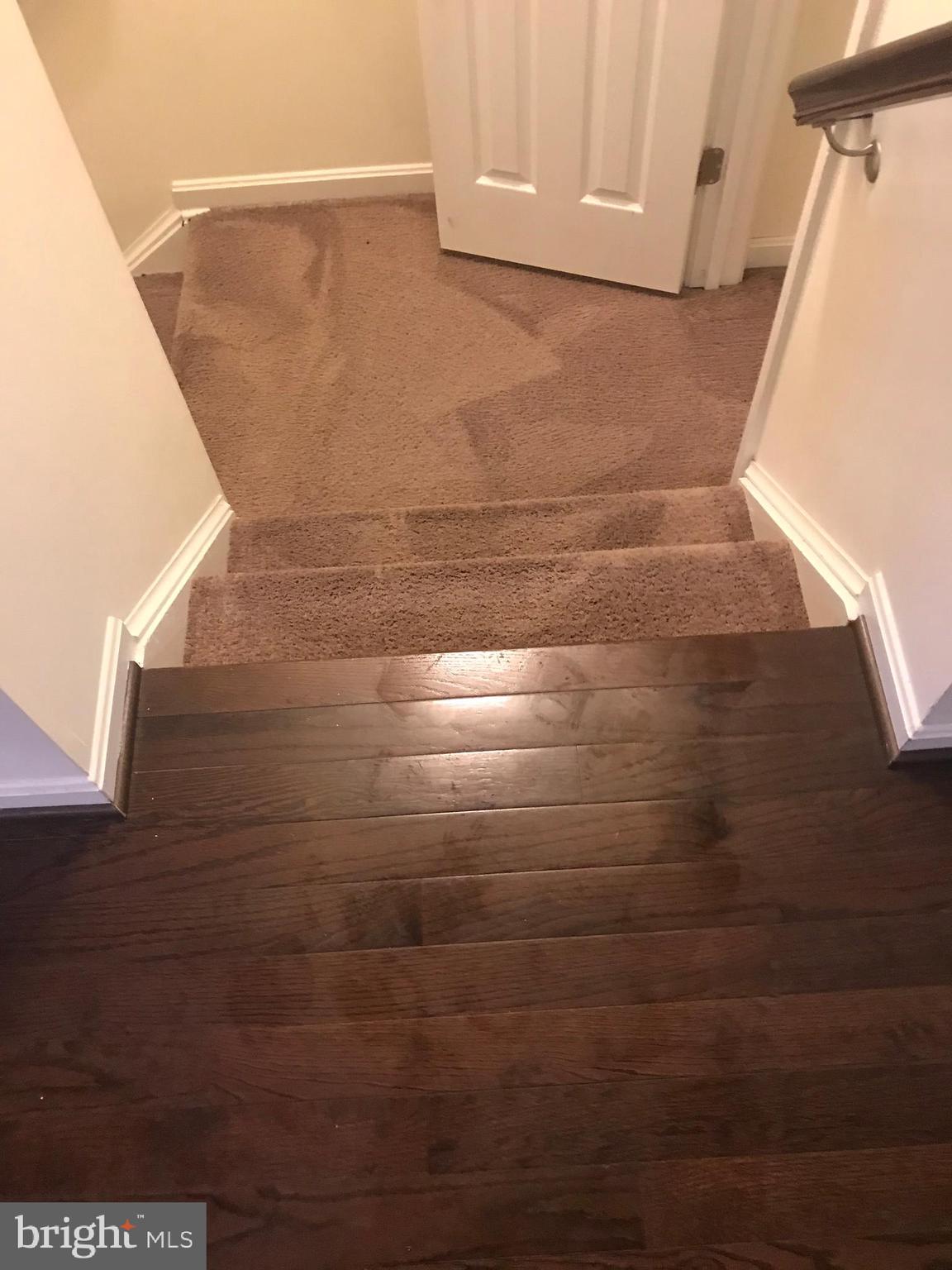 ESPLANADE AT RED RUN - Residential Lease