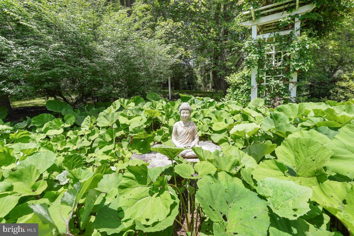 POTOMAC - Residential