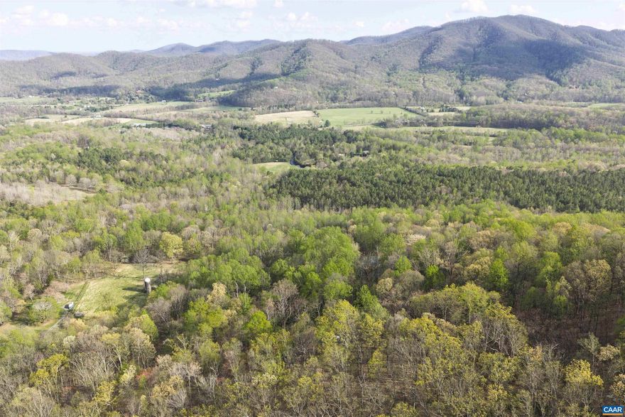 Discover the perfect blend of privacy and natural beauty with this stunning 10-acre parcel located on Lot 42, Treehouse Place in Nelson, VA. Tucked away in a peaceful, wooded setting, this expansive property offers a serene retreat surrounded by mature trees and the soothing sounds of nature. Perked for a 3?4 bedroom home, Firefly Fiber internet available. The lot backs up to 65 acres set aside for walking trails. Enjoy the tranquility of rural living while still being within convenient reach of nearby amenities, outdoor recreation, wineries, and scenic mountain views that make Nelson County so desirable. This is a rare opportunity to own a sizable piece of land in a sought-after area known for its charm and natural beauty.