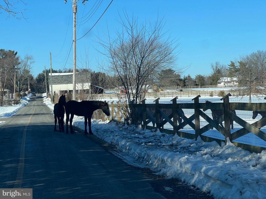 Photo of 46 Buck Drive, KINTNERSVILLE, PA 18930 (MLS # PABU2113368)