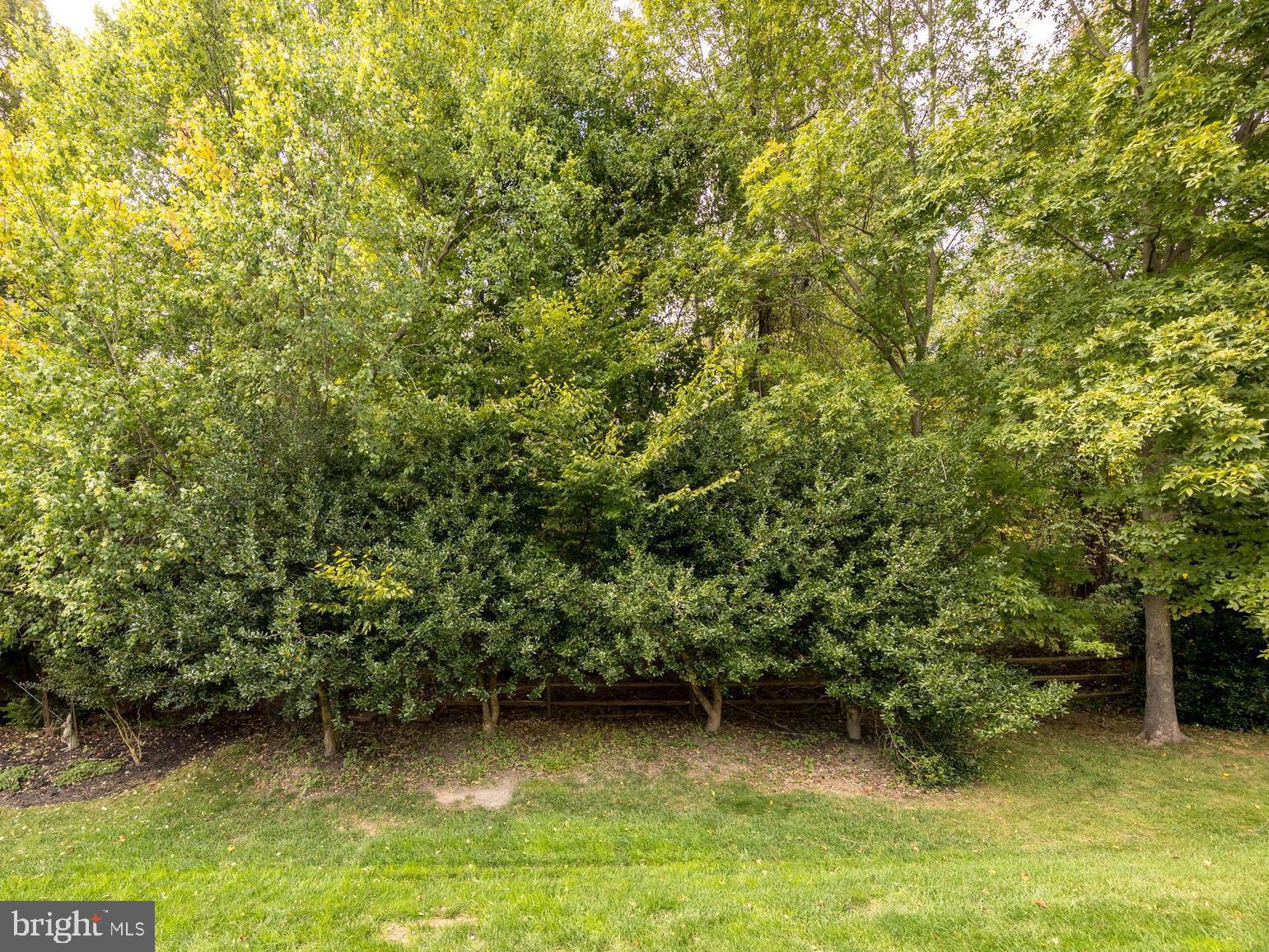 BULLE ROCK - Residential