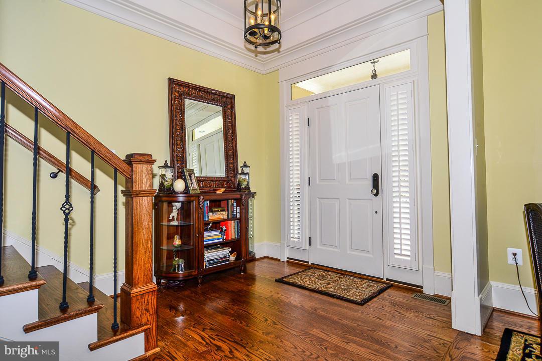 LACEY FOREST - Residential