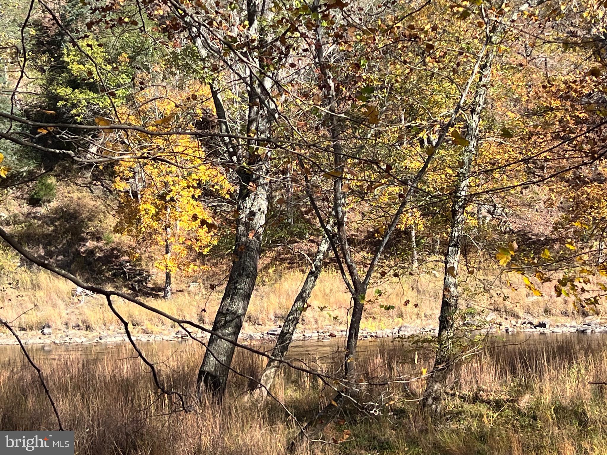 MORGAN WOODS - Residential