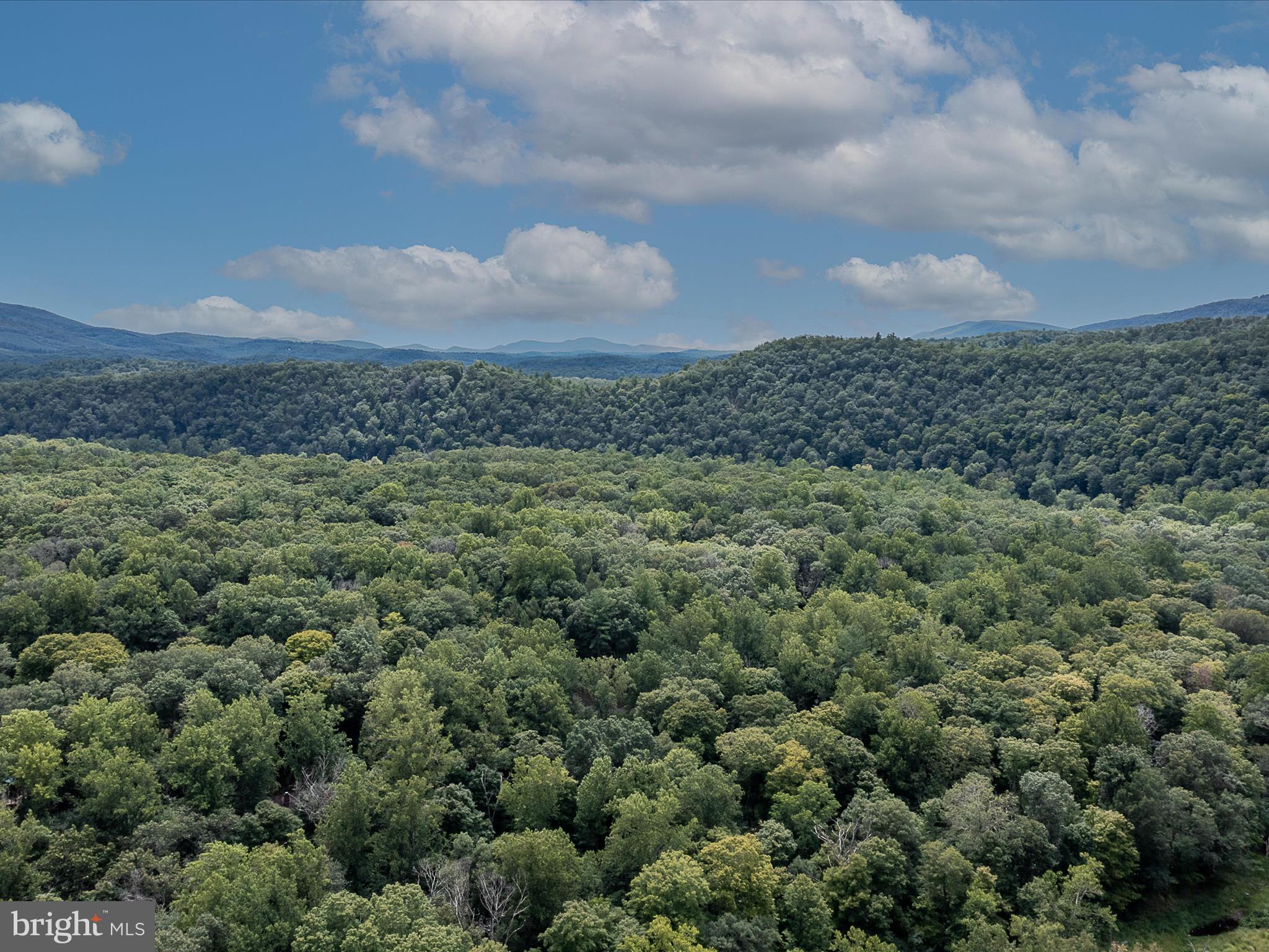 MORGAN WOODS - Residential