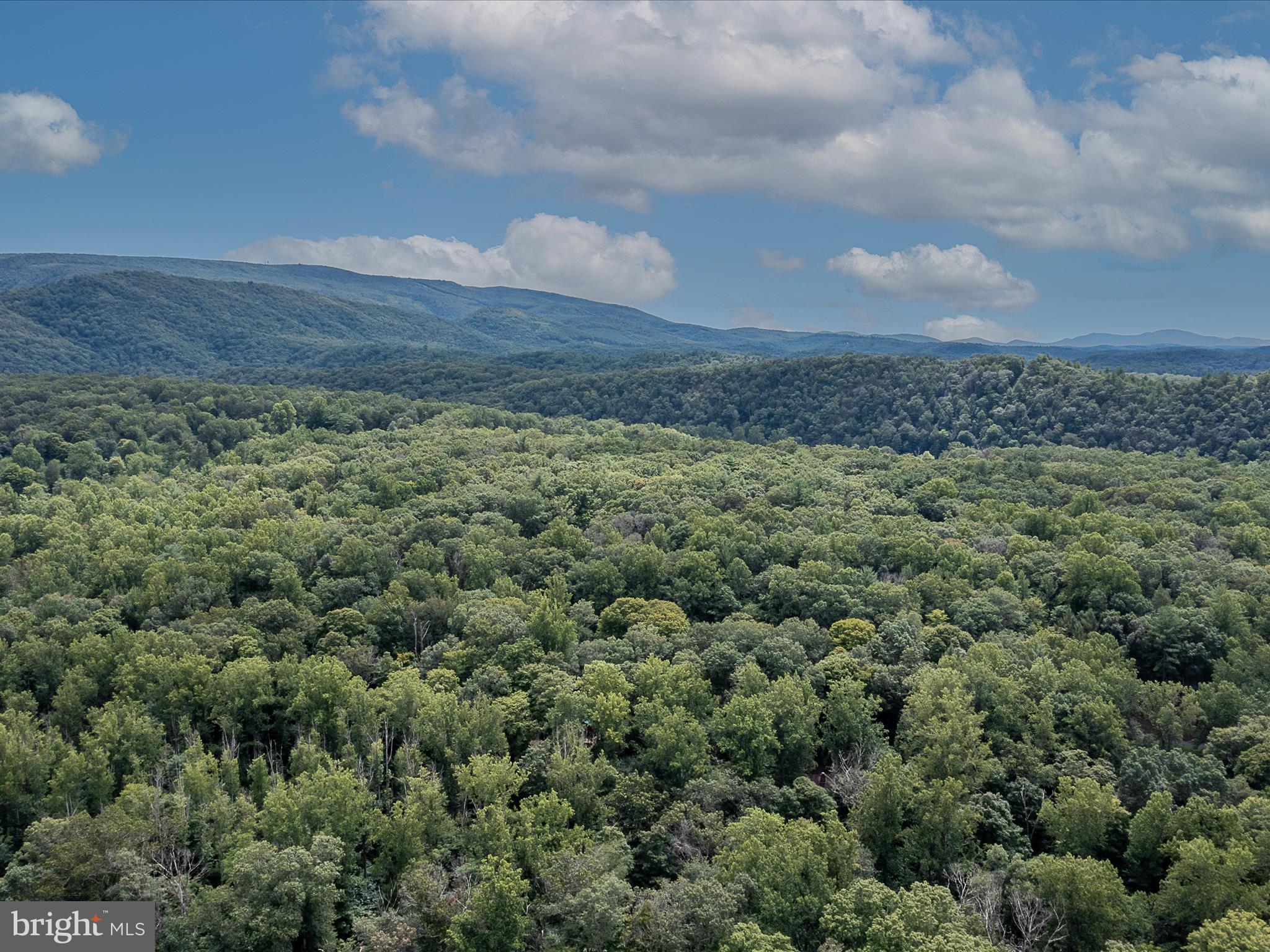 MORGAN WOODS - Residential