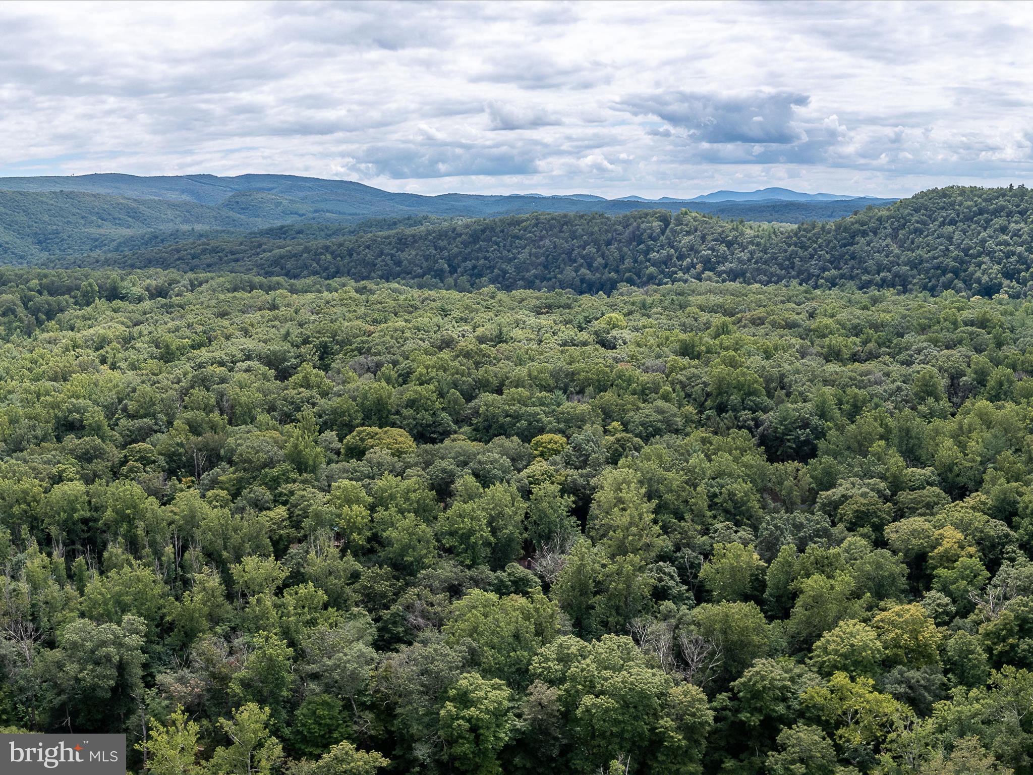 MORGAN WOODS - Residential