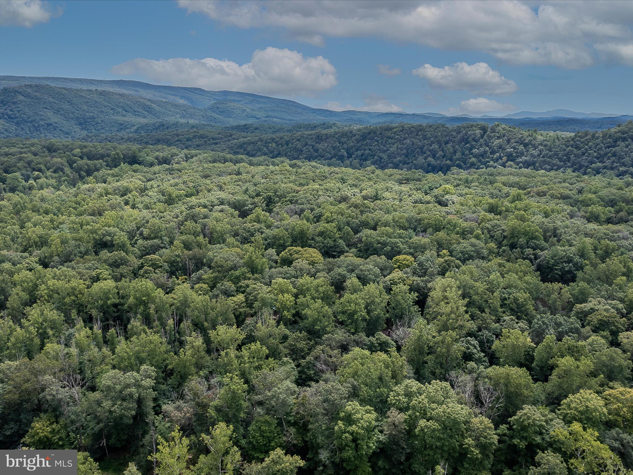 MORGAN WOODS - Residential