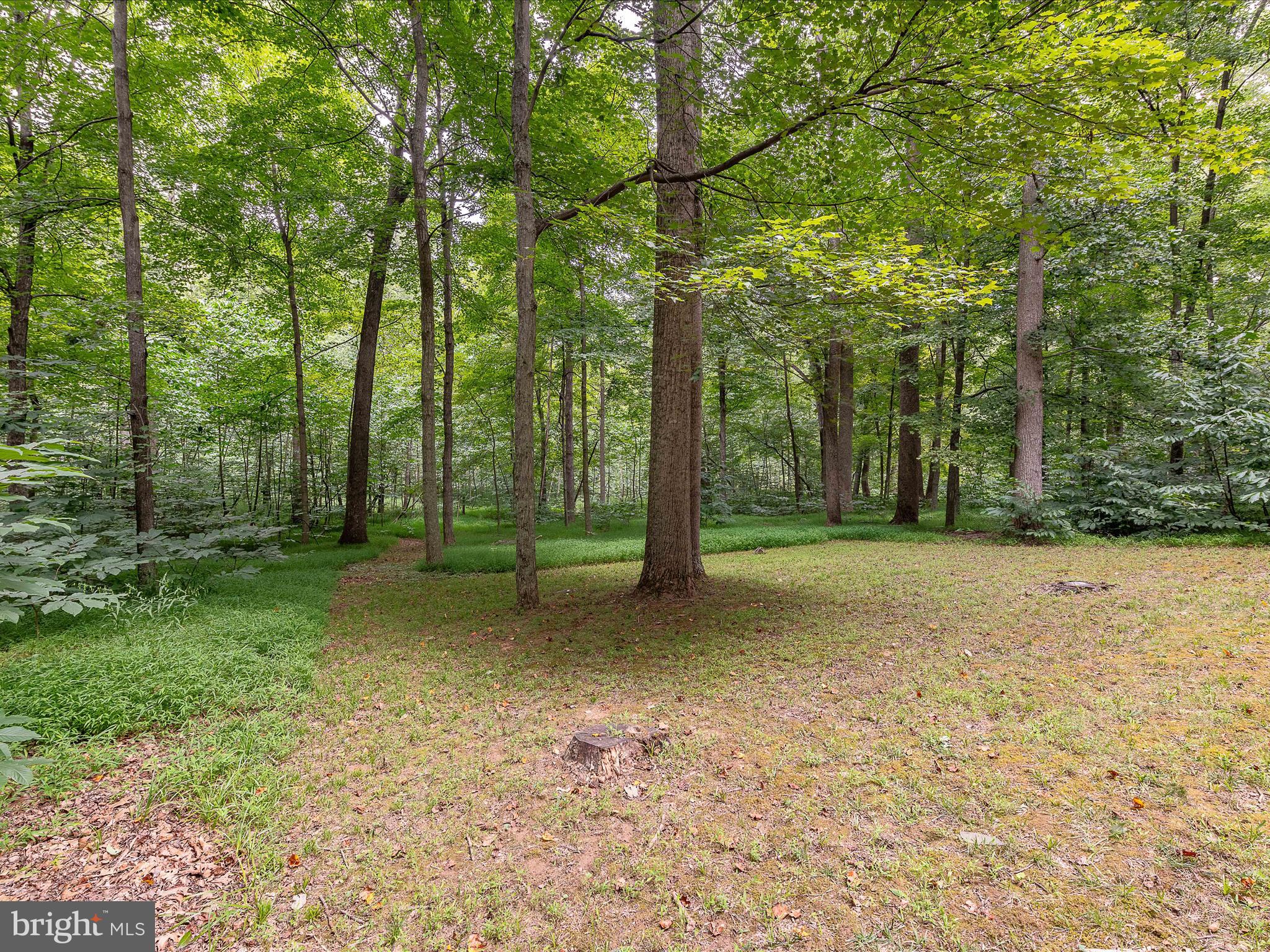 MORGAN WOODS - Residential