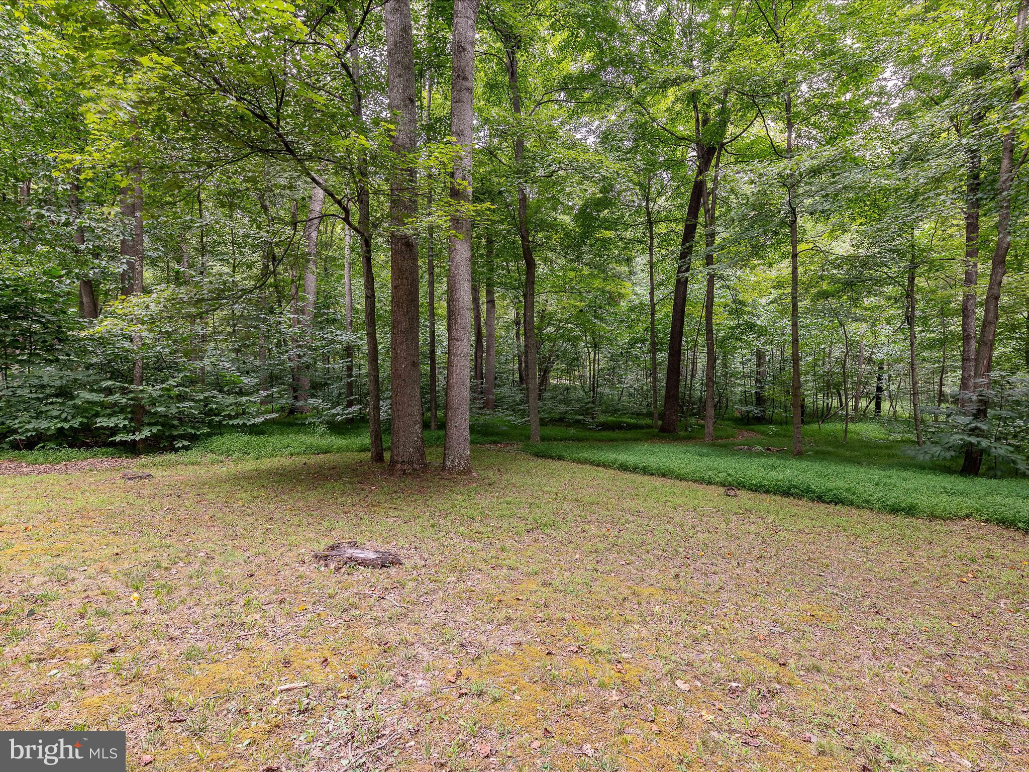 MORGAN WOODS - Residential