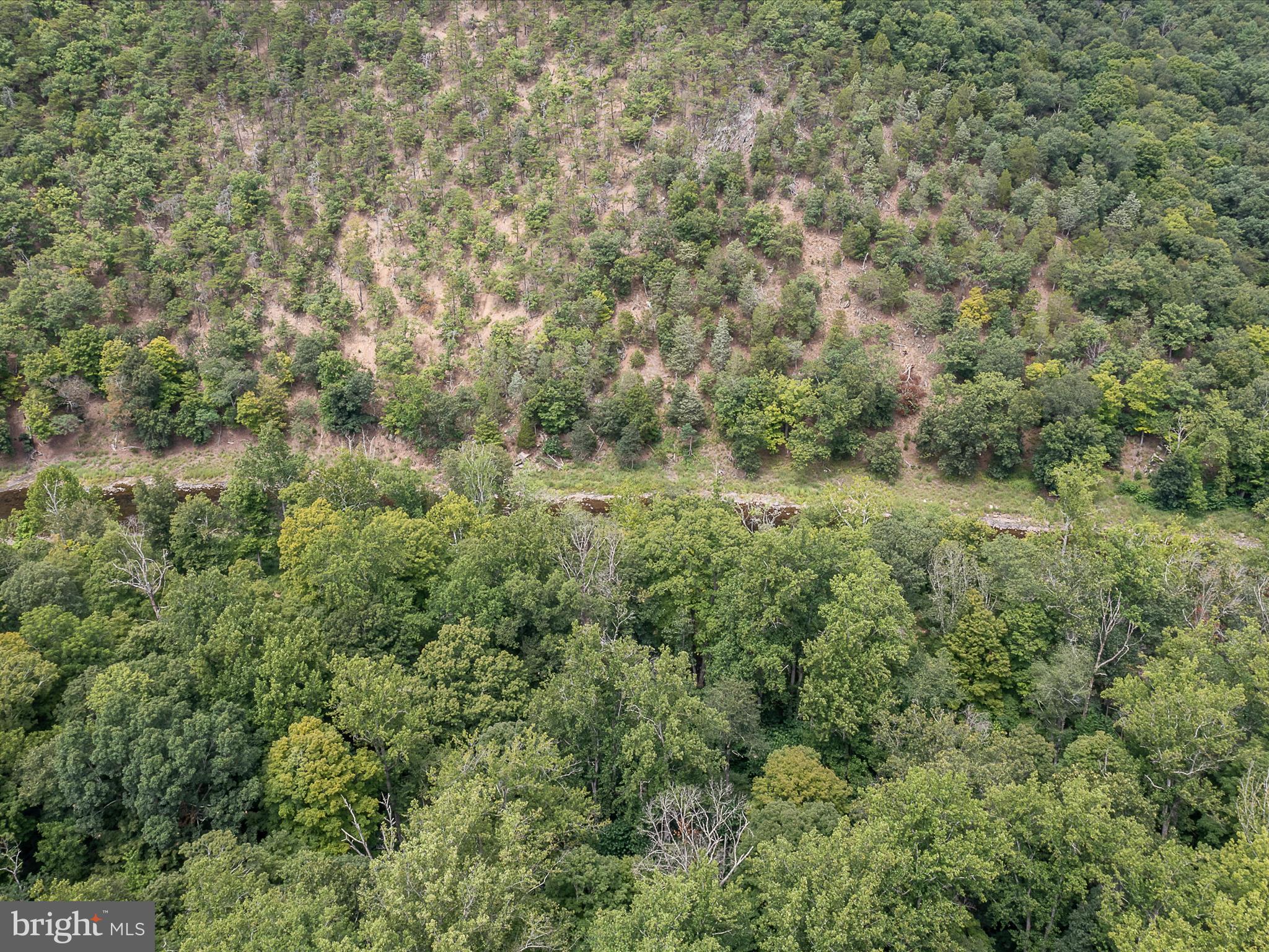 MORGAN WOODS - Residential