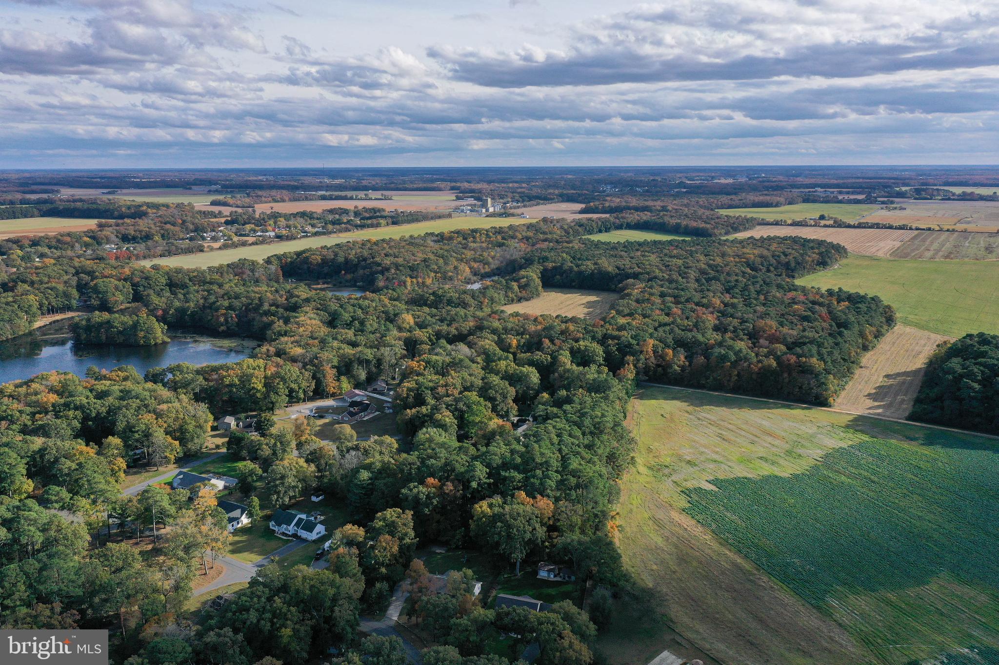 Lot 1D MEADOW BRANCH/PINE GROVE DRIVE