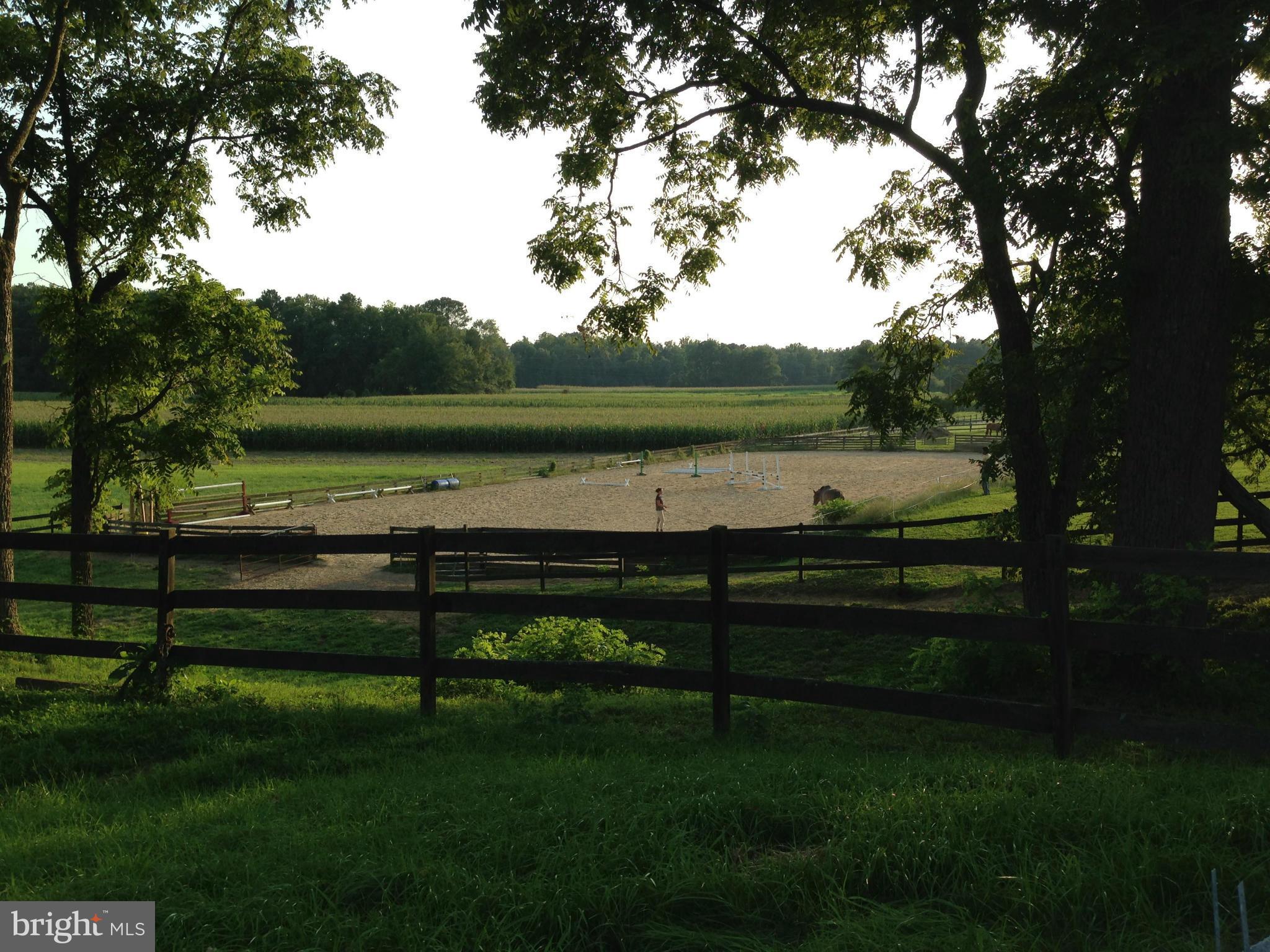 NONE AVAILABLE - Farm