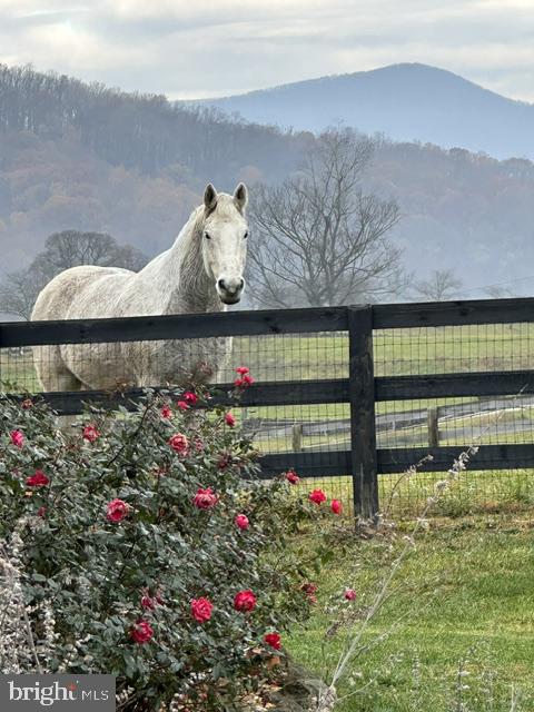 BATTLE RUN FARM - Residential