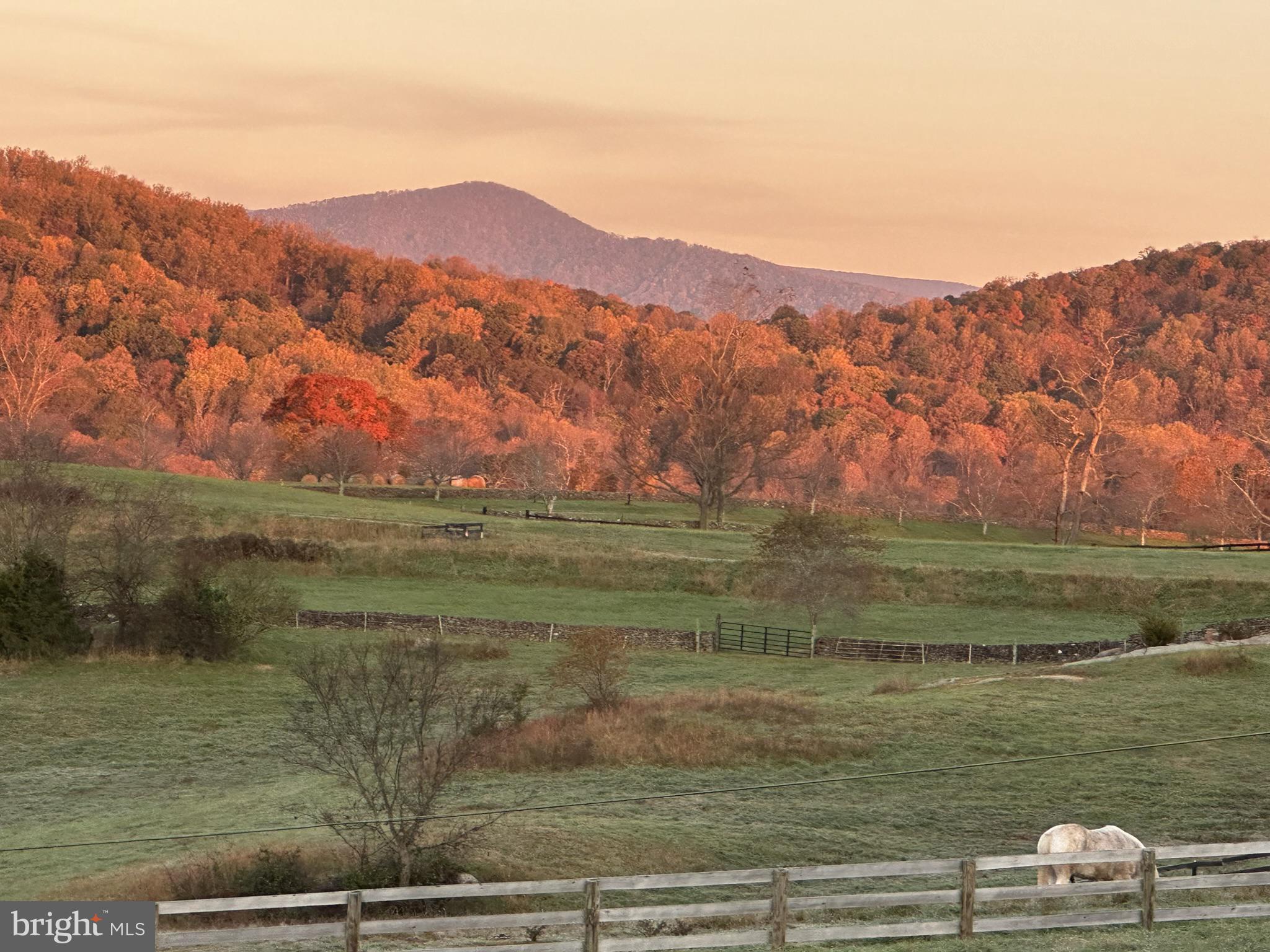 BATTLE RUN FARM - Residential