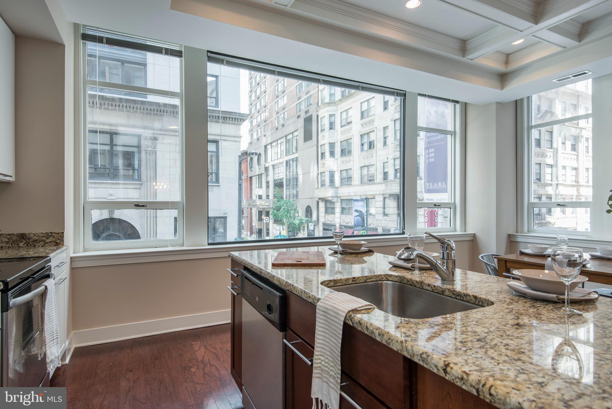 1501 LOCUST STREET UNIT 303