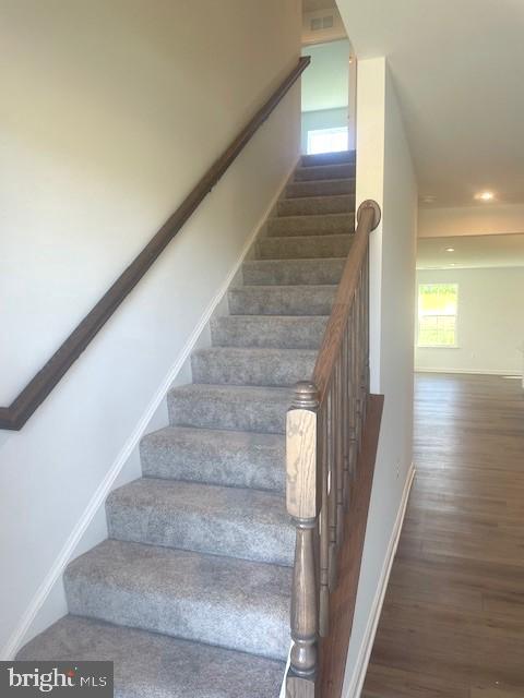 SOUTH BROOK - Residential