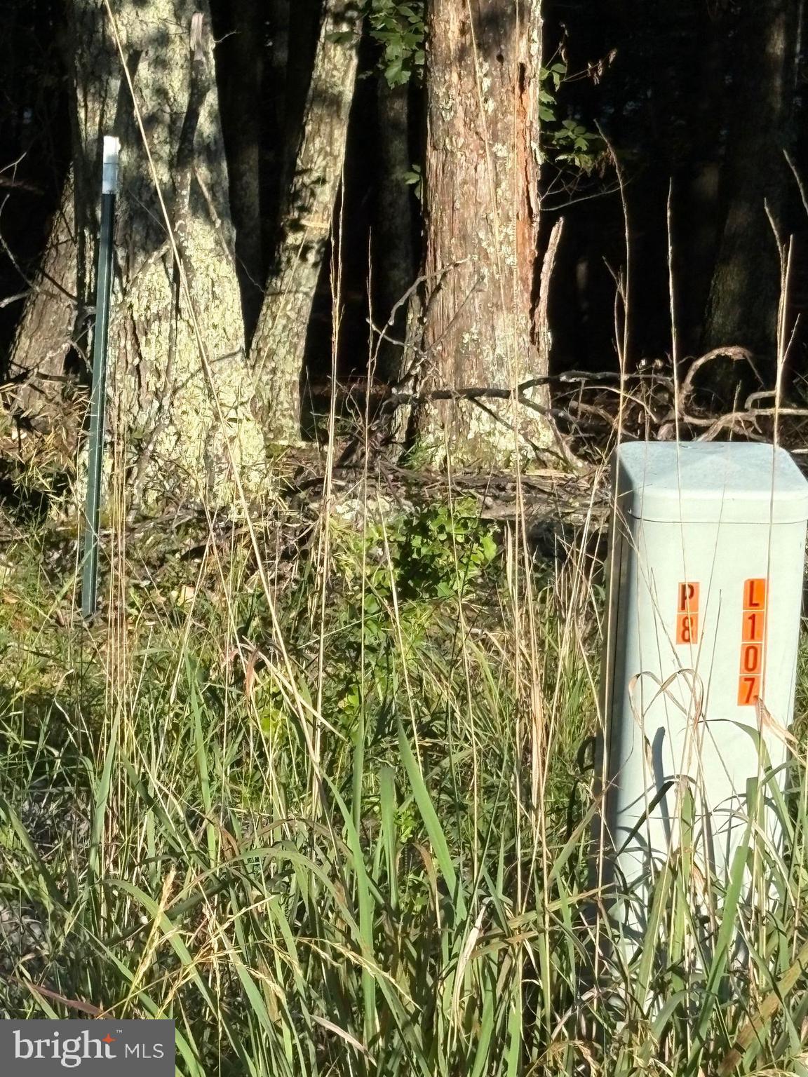 ORCHARD VIEW ESTATES - Land