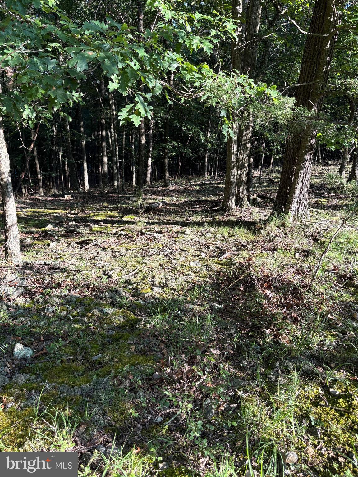 ORCHARD VIEW ESTATES - Land