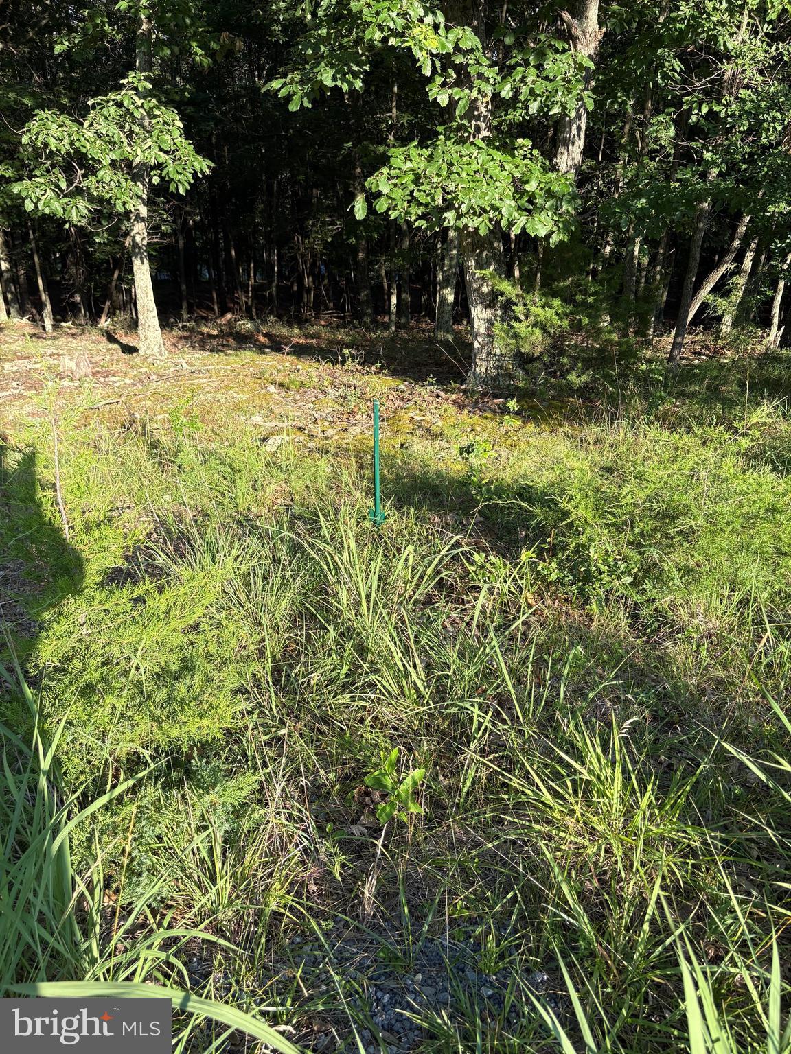 ORCHARD VIEW ESTATES - Land