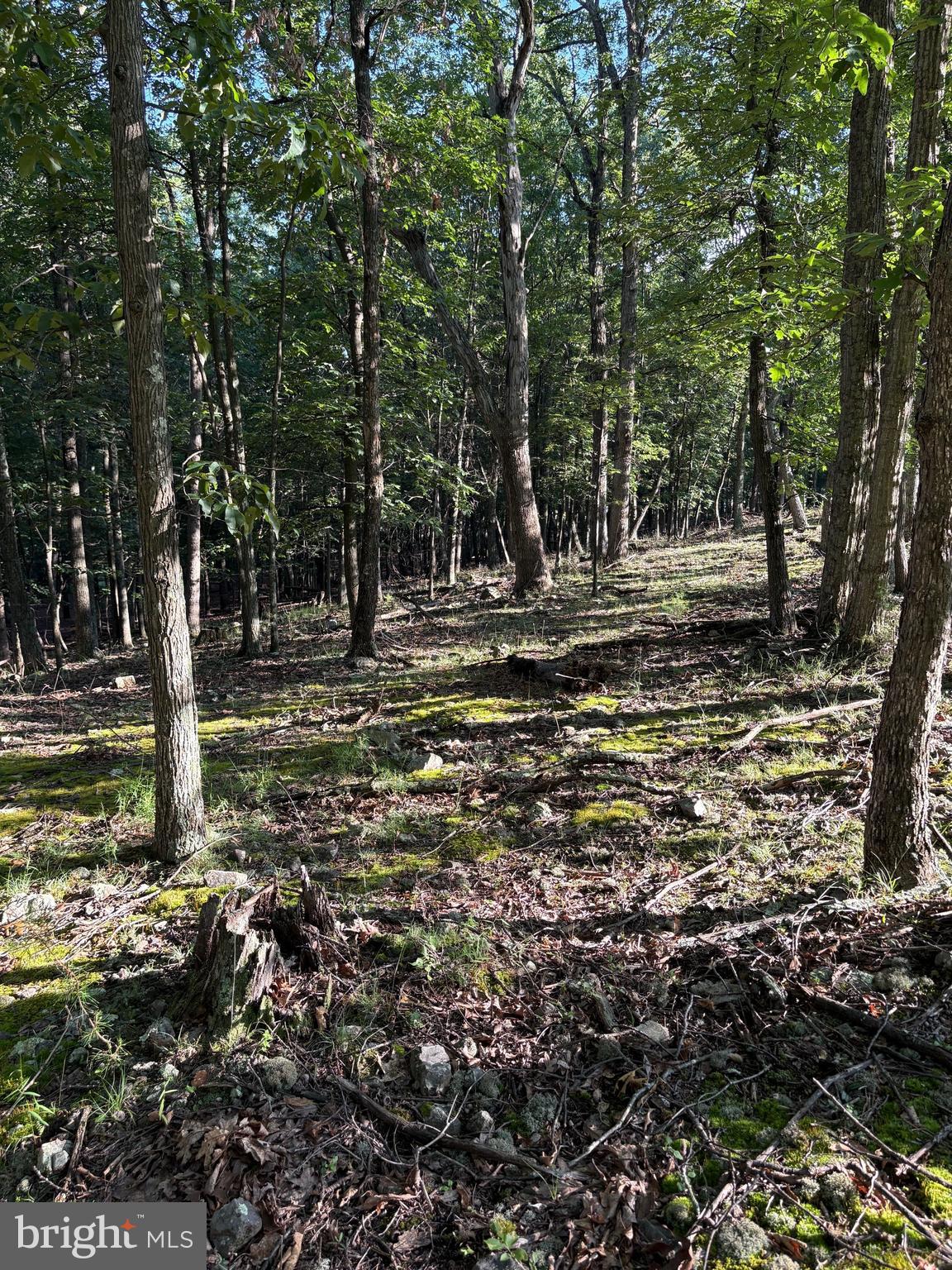 Lot 40 BERENGER DRIVE