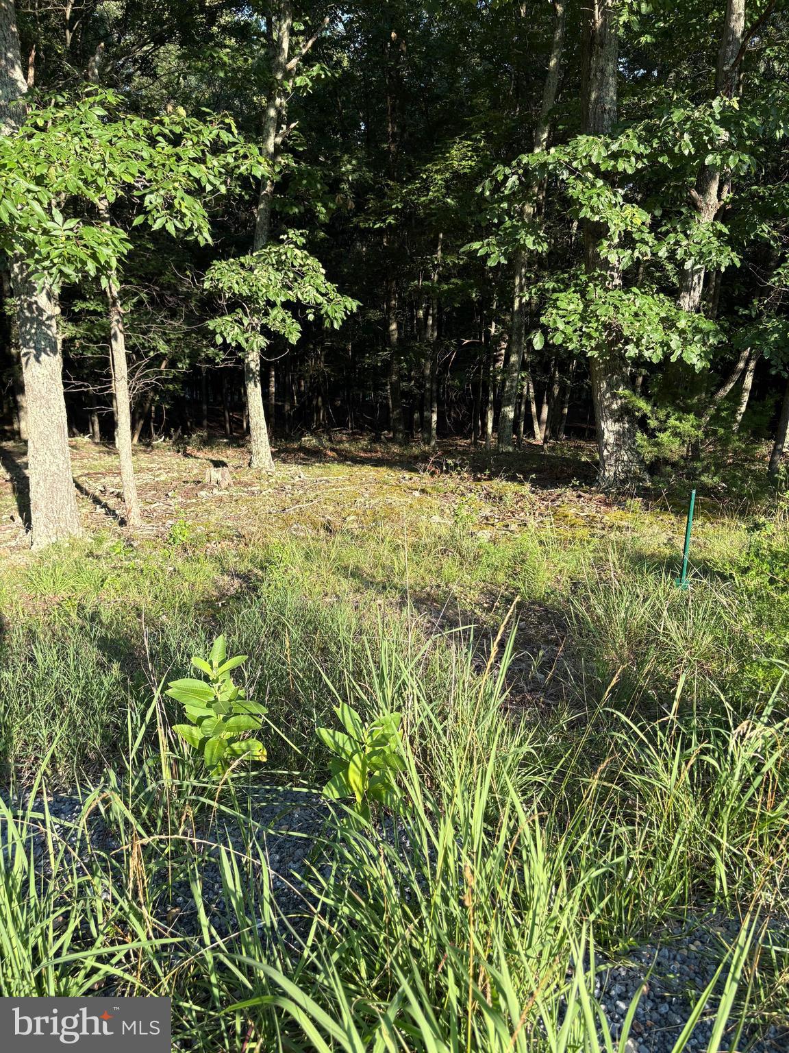 ORCHARD VIEW ESTATES - Land