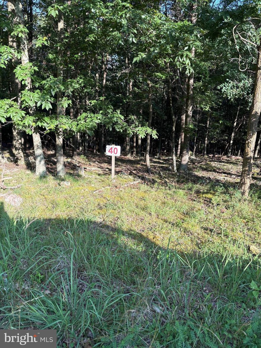 Nice lot in established subdivision near to Petersburg.  Over 3 acre lot at the end of "No thru" road.  Electric and Public water hookup at the site.  Lot would make a beautiful building site with a nice view.  Located near to WV recreation areas to fish, hike, ski, golf, dine, rock climb and horse back ride.  Don't miss this opportunity! Schedule an appointment today!