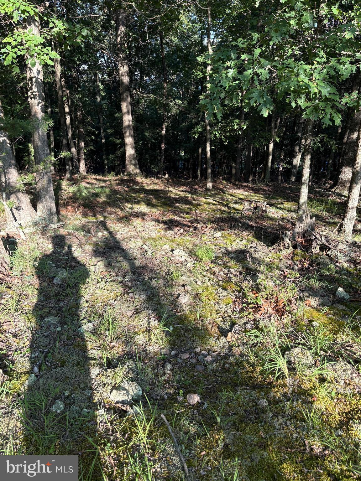 Lot 40 BERENGER DRIVE
