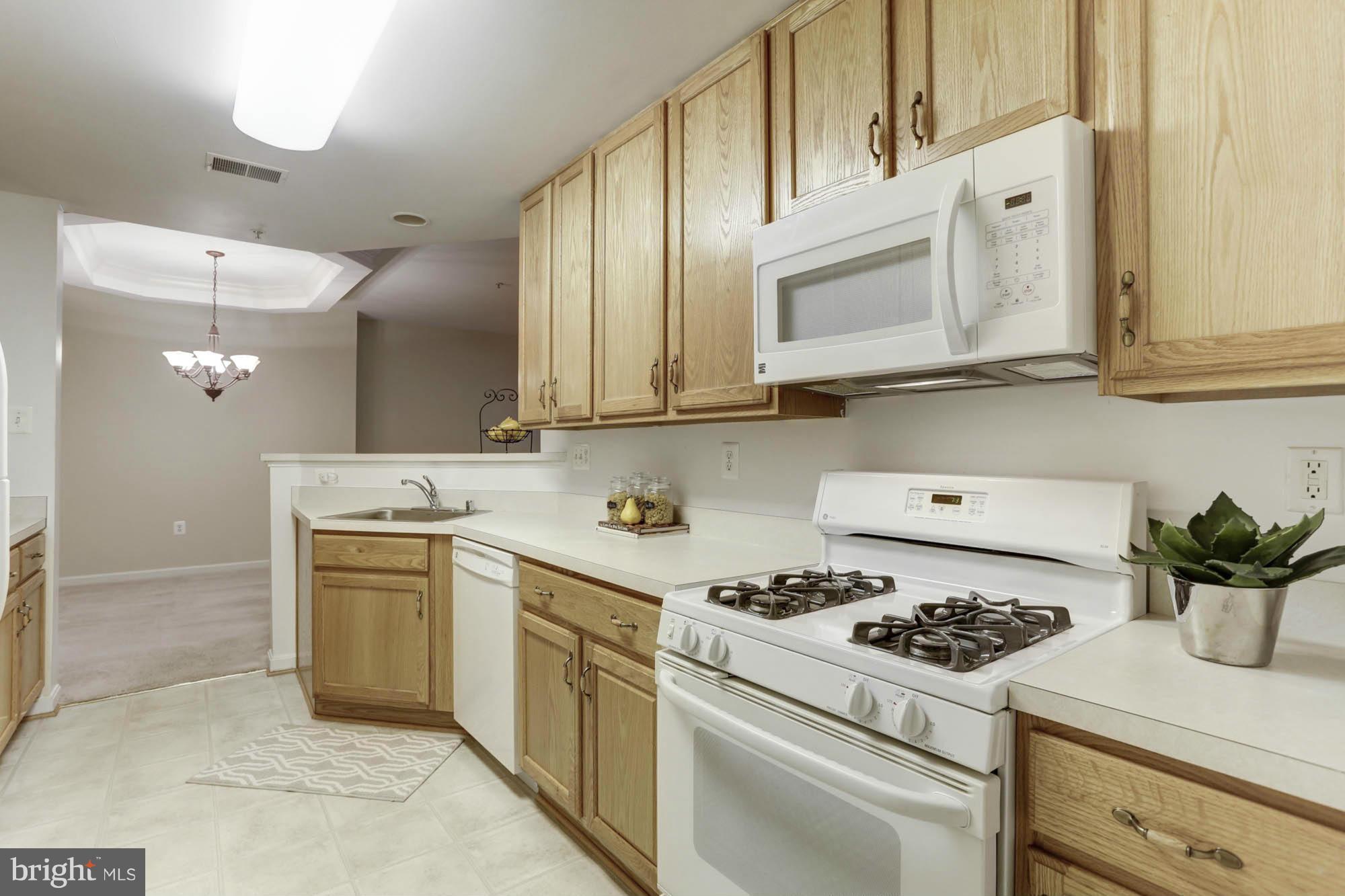 THE WHITNEY TOWN CENTER - Residential Lease