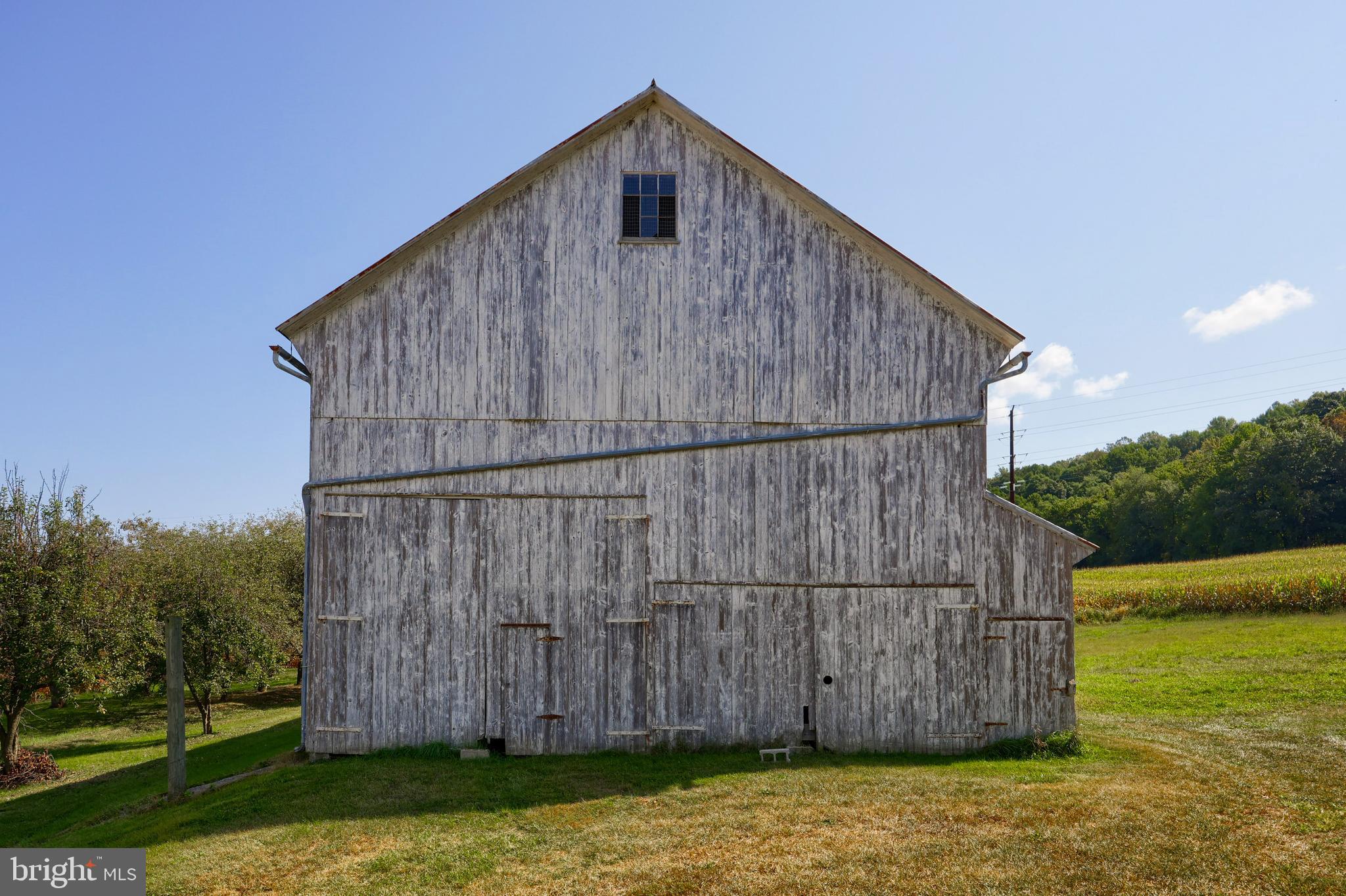 NONE AVAILABLE - Farm