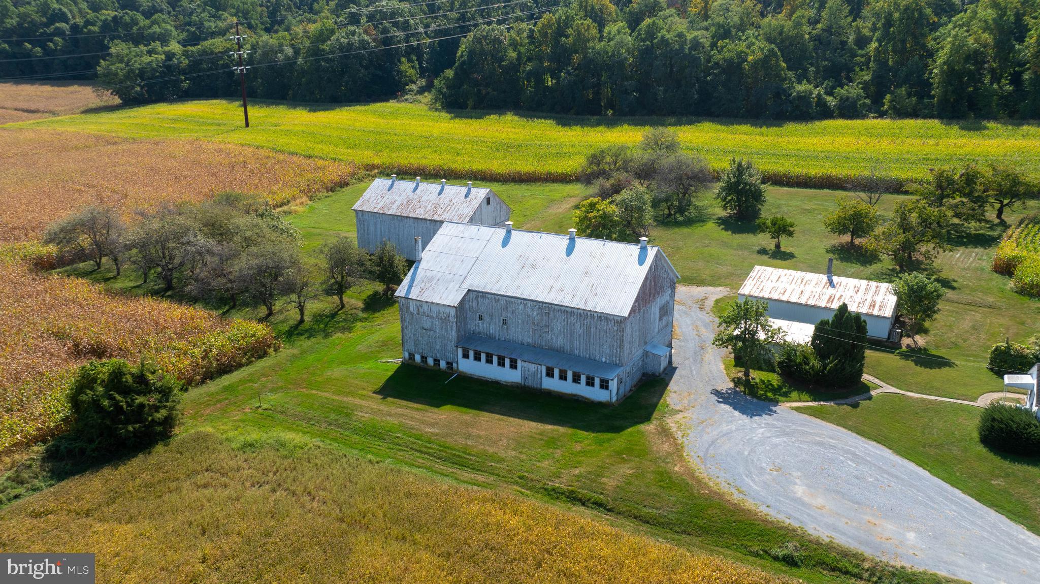 NONE AVAILABLE - Farm