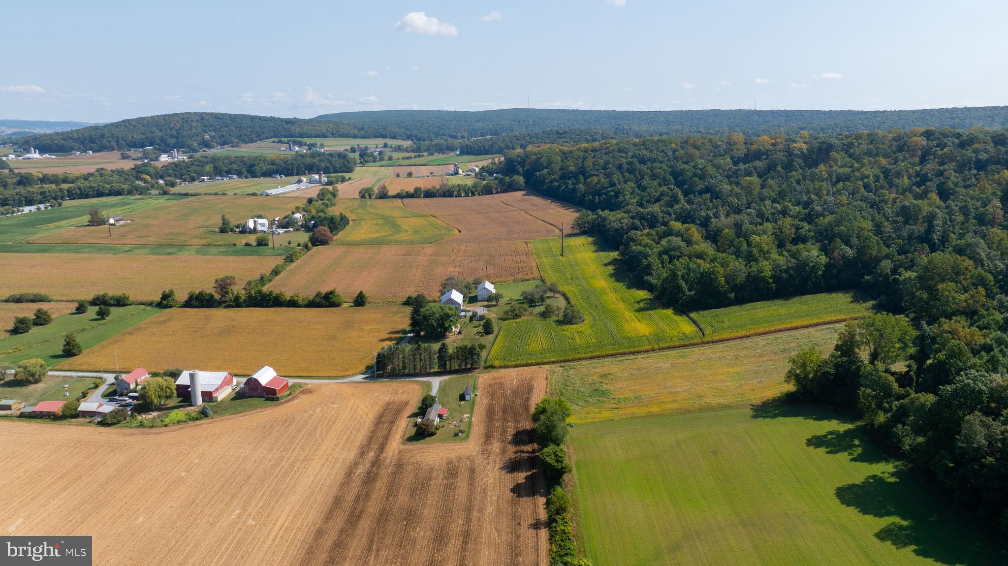 NONE AVAILABLE - Farm