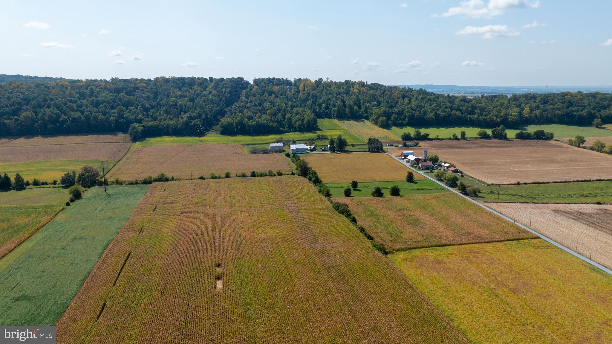 NONE AVAILABLE - Farm