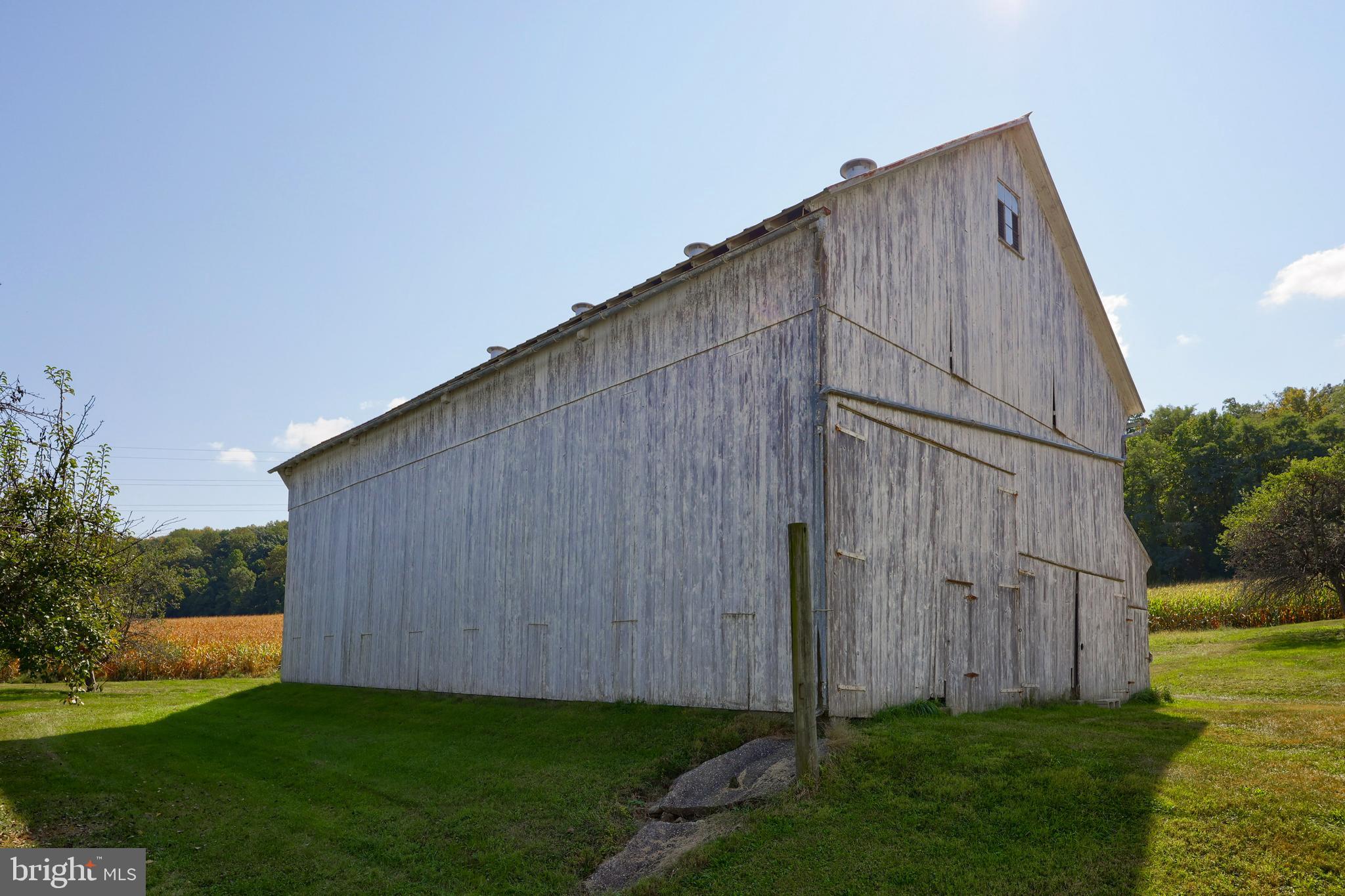 NONE AVAILABLE - Farm