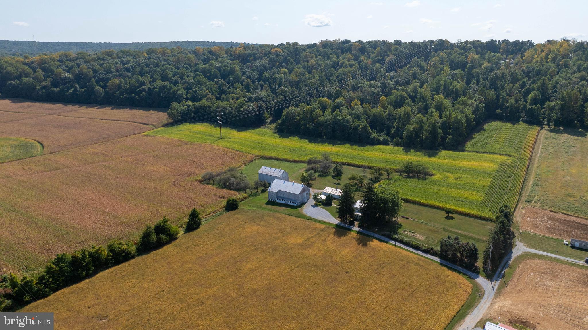 NONE AVAILABLE - Farm