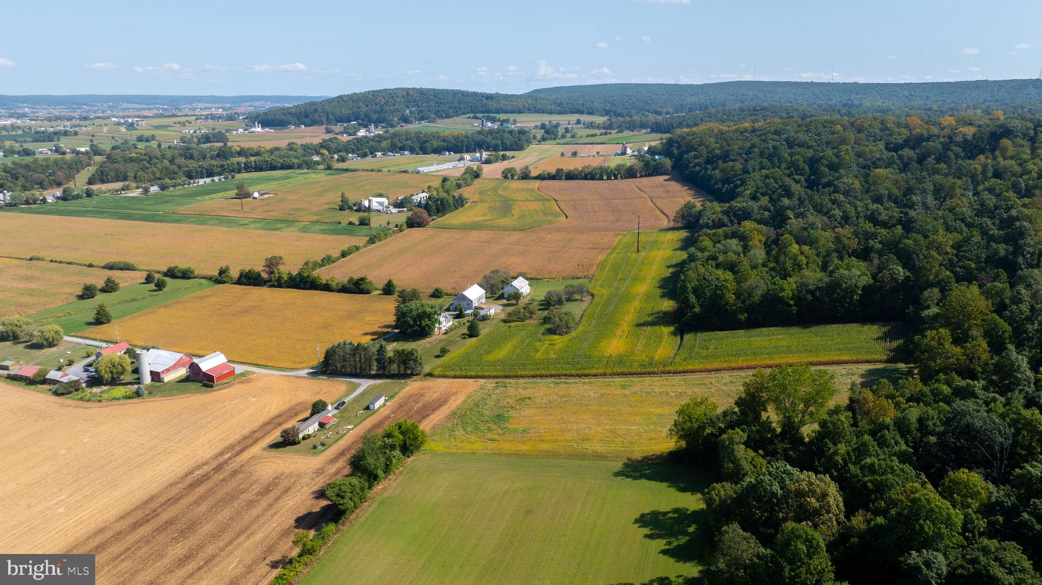 NONE AVAILABLE - Farm