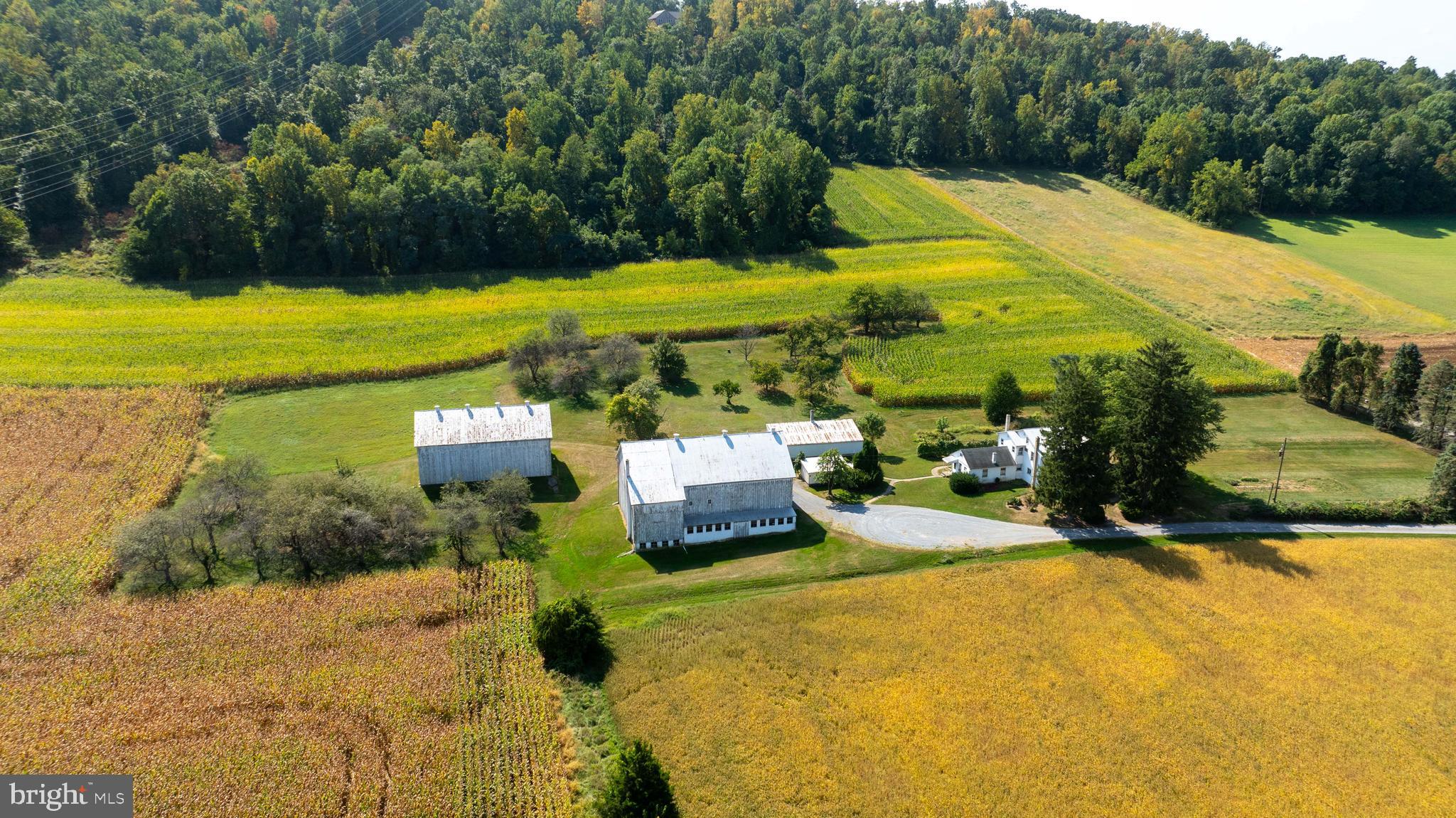 NONE AVAILABLE - Farm